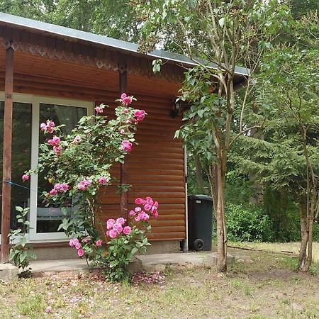 Villa Waldhaus Halvor Zichtau Esterno foto