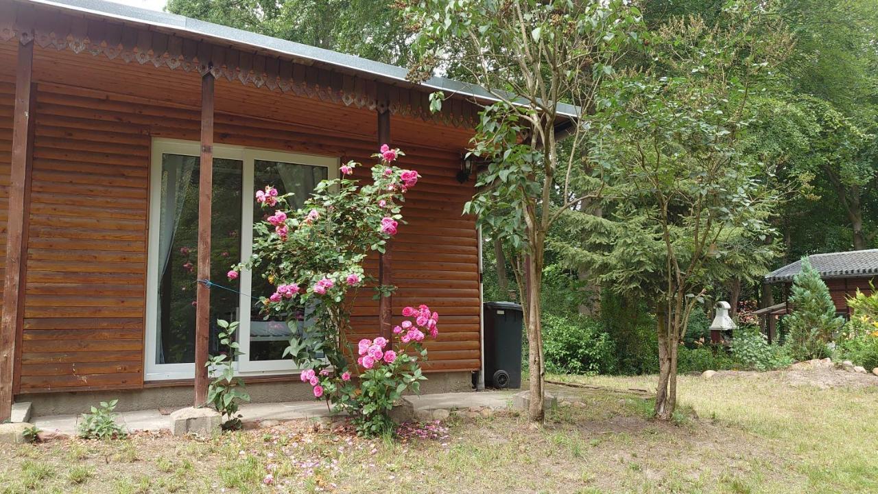 Villa Waldhaus Halvor Zichtau Esterno foto