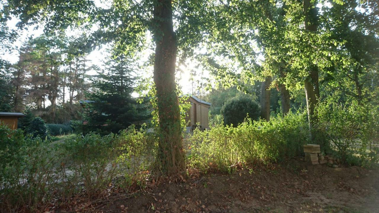 Villa Waldhaus Halvor Zichtau Esterno foto